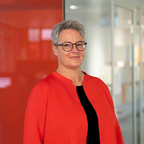 mutzone – Portrait Roy Büllhardt, Strategie, Transformation, Leadership